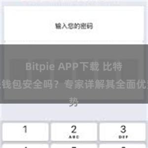 Bitpie APP下载 比特派钱包安全吗？专家详解其全面优势