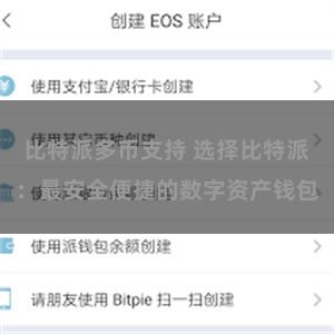 比特派多币支持 选择比特派：最安全便捷的数字资产钱包