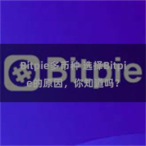 Bitpie多币种 选择Bitpie的原因，你知道吗？