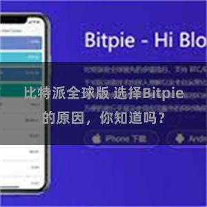 比特派全球版 选择Bitpie的原因，你知道吗？