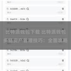 比特派钱包下载 比特派钱包多链资产管理技巧：全面攻略