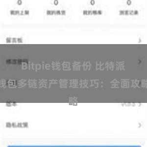 Bitpie钱包备份 比特派钱包多链资产管理技巧：全面攻略