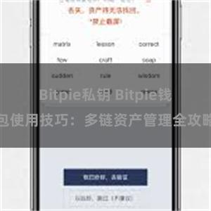 Bitpie私钥 Bitpie钱包使用技巧：多链资产管理全攻略