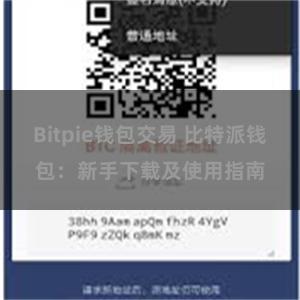 Bitpie钱包交易 比特派钱包：新手下载及使用指南