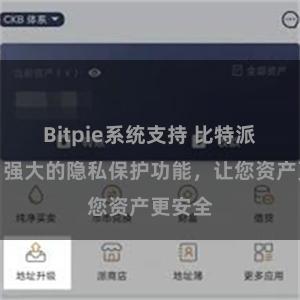 Bitpie系统支持 比特派钱包：强大的隐私保护功能，让您资产更安全