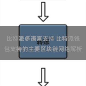 比特派多语言支持 比特派钱包支持的主要区块链网络解析