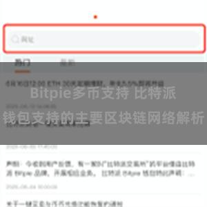 Bitpie多币支持 比特派钱包支持的主要区块链网络解析