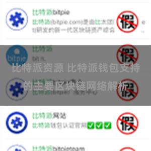 比特派资源 比特派钱包支持的主要区块链网络解析