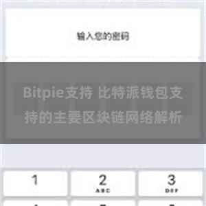 Bitpie支持 比特派钱包支持的主要区块链网络解析