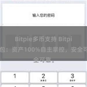 Bitpie多币支持 Bitpie钱包：资产100%自主掌控，安全可靠。