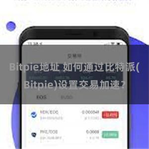 Bitpie地址 如何通过比特派(Bitpie)设置交易加速？