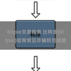 Bitpie交易指南 比特派(Bitpie)官网常见诈骗防范提醒