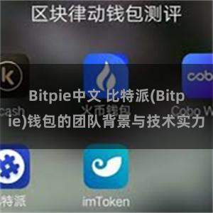 Bitpie中文 比特派(Bitpie)钱包的团队背景与技术实力