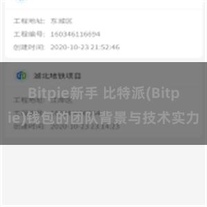 Bitpie新手 比特派(Bitpie)钱包的团队背景与技术实力