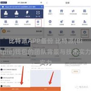 比特派APP备份 比特派(Bitpie)钱包的团队背景与技术实力