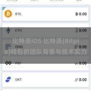 比特派iOS 比特派(Bitpie)钱包的团队背景与技术实力