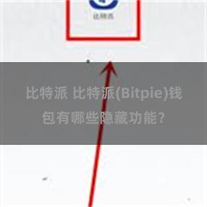 比特派 比特派(Bitpie)钱包有哪些隐藏功能？