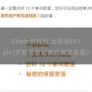 Bitpie热钱包 比特派(Bitpie)交易历史记录在哪里查看？