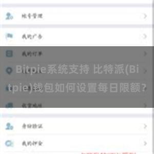 Bitpie系统支持 比特派(Bitpie)钱包如何设置每日限额？