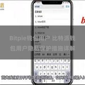 Bitpie钱包用户 比特派钱包用户隐私保护措施详解