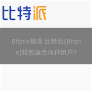 Bitpie提现 比特派(Bitpie)钱包适合何种用户？