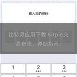 比特派应用下载 Bitpie交易步骤，详细指南。