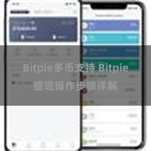 Bitpie多币支持 Bitpie提现操作步骤详解