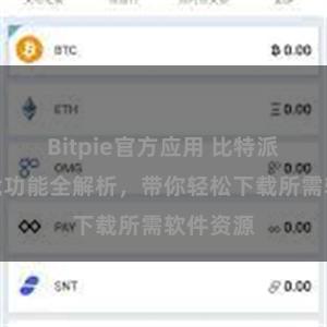 Bitpie官方应用 比特派便捷下载功能全解析，带你轻松下载所需软件资源