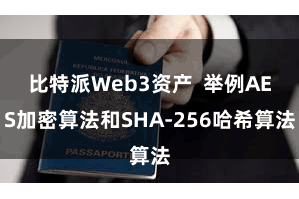 比特派Web3资产  举例AES加密算法和SHA-256哈希算法