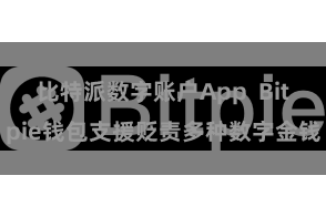 比特派数字账户App  Bitpie钱包支援贬责多种数字金钱