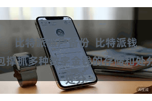 比特派账户备份  比特派钱包撑抓多种数字金钱的存储和处分